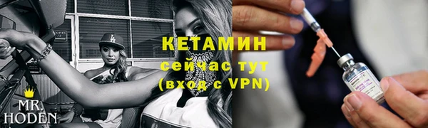 шишки Гусев