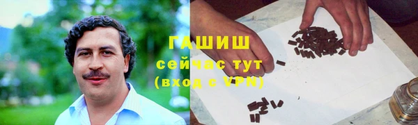 шишки Гусев
