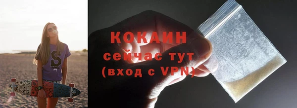 шишки Гусев