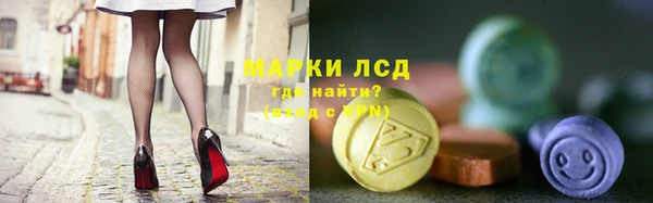 шишки Гусев
