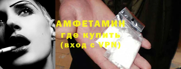 шишки Гусев