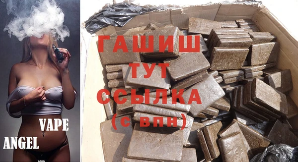 шишки Гусев