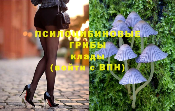 дмт Гусиноозёрск