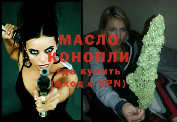шишки Гусев