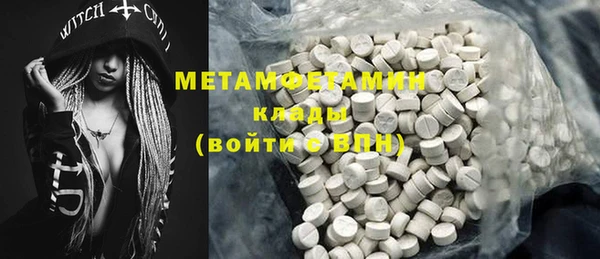 шишки Гусев